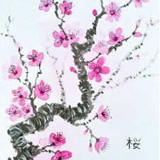 Gałązka wiśniowa japońskie malarstwo sumi-e. Original Akwarela A4