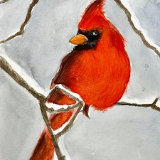 Obraz Czerwony kardynał na gałęzi,akwarela 24*16cm