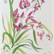 Dzika różowa orchidea. japońskie malarstwo sumi-e. Original Akwarela A4