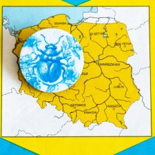 Broszka / przypinka - Leci biedronka do słonka