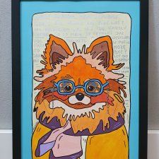 Szpic Miniaturowy Pomeranian A3