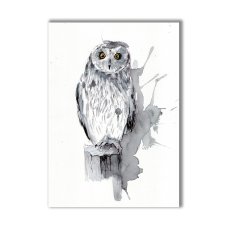 Grafika ręcznie malowana "Sowa"