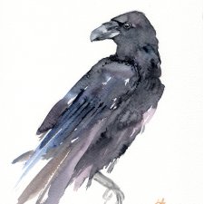 Oryginalna akwarela. Kruk