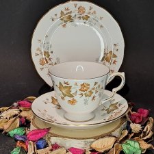 Angielskie Trio filiżanka, spodek i talerzyk Colclough Avon jesienne liście