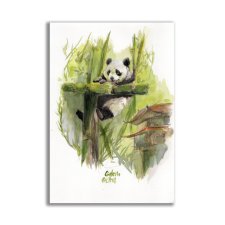 Akwarela ręcznie malowana  Panda