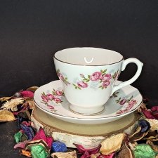Duża filiżanka i spodek z kostnej porcelany Anglia Springfield róże