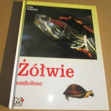 Żółwie ozdobne-1998r