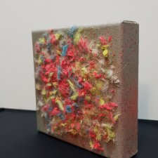 Obraz " Kocie zmysły - wzrok" 20x20