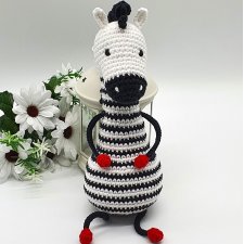 Zebra biało -czarna