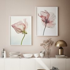 ZESTAW PLAKATÓW 2cz 40x50 cm Delikatne róże  (set200)