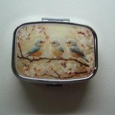PIGULARZ PTASZKI