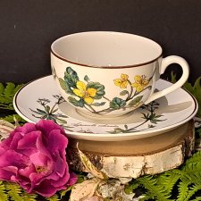 Niemiecka porcelana Villeroy & Boch wzór Botanica duża filiżanka do herbaty i spodek
