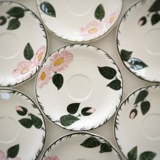Talerzyki Wild Rose od Villeroy & Boch