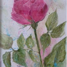 Akwarela "Różyczka" w ramce 15*20 cm