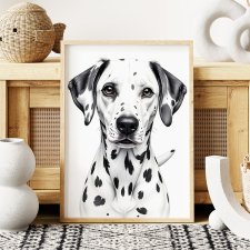Plakat Dalmatyńczyk - format 50x70 cm  grafika ilustracja