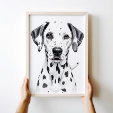 Plakat Dalmatyńczyk - format 30x40 cm  grafika ilustracja