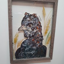 Obraz Grafika A4 Kura Kogut