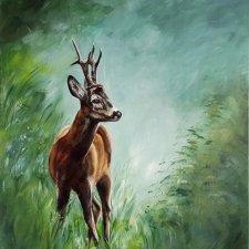 Sarna kozioł, oryginał, akryl na płótnie 50x70 cm