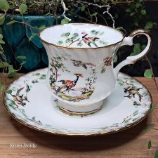 English Elizabethan porcelain large cup and saucer with birds of paradise pattern