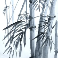 Bambus  japońskie malarstwo sumi-e. Original Akwarela A4