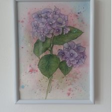 Akwarela w białej ramce Hortensja 21*16 cm