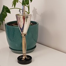 Srebrny puchar