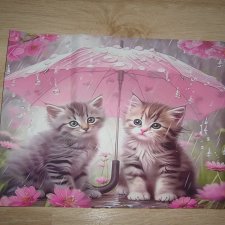MATA DO SUSZENIA NACZYŃ KOTKI