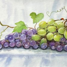 Winogrona i biedronka  Original Akwarela A4