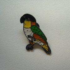 PIN PRZYPINKA BROSZKA PAPUGA