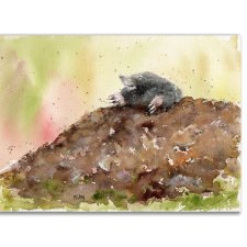 Kret. Akwarela ręcznie malowana