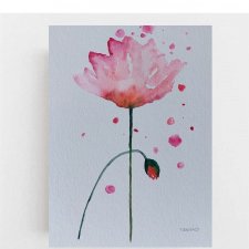 Maki - obraz  akwarela