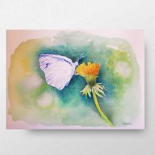 Motylek- akwarela