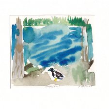 Ilustracja Kaczka oryginał