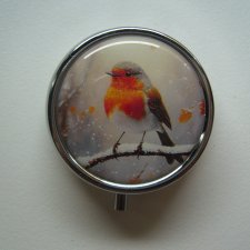 PIGULARZ PTAK RUDZIK