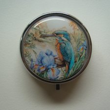 PIGULARZ PTAK ZIMORODEK