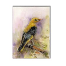 Wilga. Akwarela ręcznie malowana