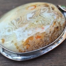 Żywe kultury bakterii - wisiorek