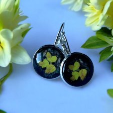 Kolczyki ŁĄKA w kolorze srebrnym – okrągłe kolczyki z motywem komonicy