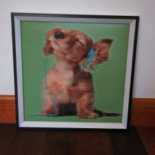 Obraz z pieskiem w 4D   *16