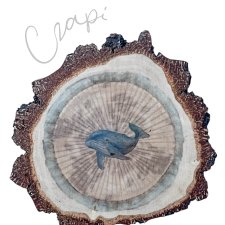 Wieloryb 1 - grafika na brzozowym plastrze