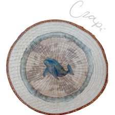 Wieloryb 2 - grafika na brzozowym plastrze