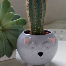 Mała szara doniczka ceramiczna kot Kizior - Rękodzieło na prezent i dla Ciebie - Lamabo Ceramics