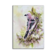 Grubodziób sosnowy. Zięba. Akwarela ręcznie malowana +rama. Ptaki