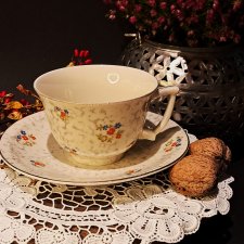 W.S. Mayer & Comp duża filiżanka i spodek Czechosłowacja