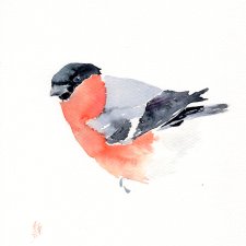 Oryginalna akwarela. Gil