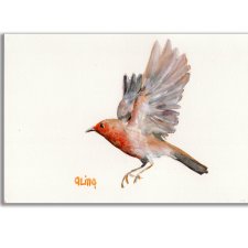 Akwarela ręcznie malowana  "Rudzik" ptak
