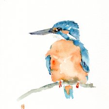 Oryginalna akwarela. Zimorodek