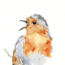 Oryginalna akwarela. Rudzik