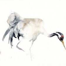 Oryginalna akwarela. Żuraw