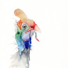 Oryginalna akwarela. Indyk